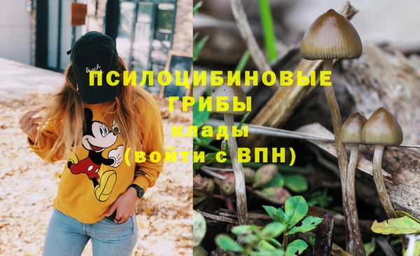 сатива Надым