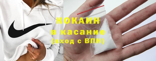 сатива Надым