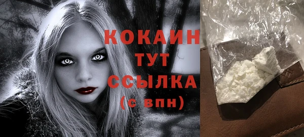 сатива Надым