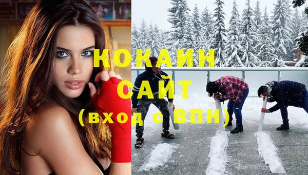 сатива Надым