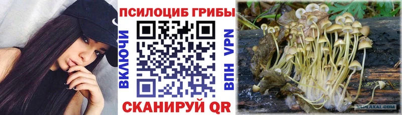 Купить закладки  Хвалынск  Псилоцибиновые грибы GOLDEN TEACHER 