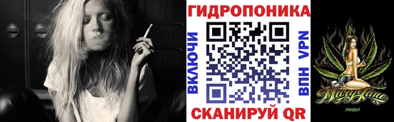Купить где  Хвалынск  Бошки Шишки OG Kush 